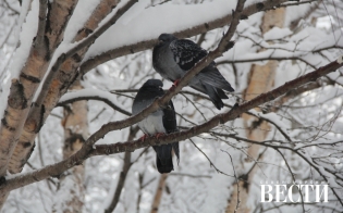 ������� ������ �� 23 ������