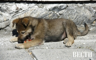 �������� ������ ��������� �������!�