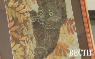 �������� � ������