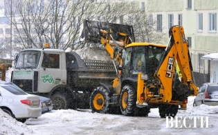 ������ ���������������� ������ ������ �� 12 �������