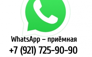 WhatsApp-приемная детской областной больницы