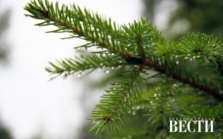 ��� � ����� � ������������ ����� ����� ������ ����� ���