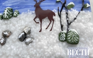 ����������� ����������� ������������ ������ "���������"