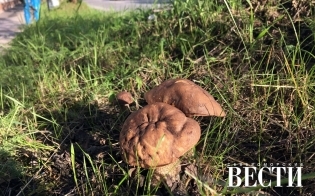 ����� �����������