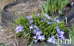 � ���-���� �����!