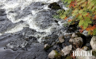 ������� ������ �� 29 ��������