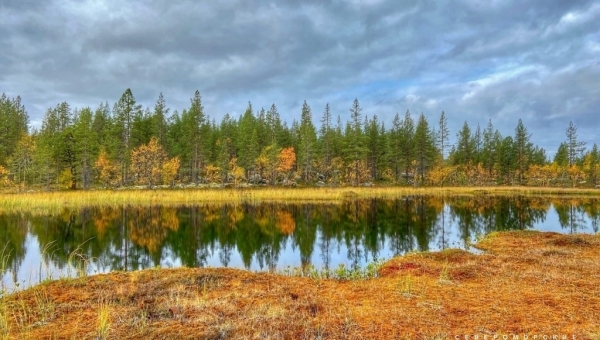 ���� �������� �������������