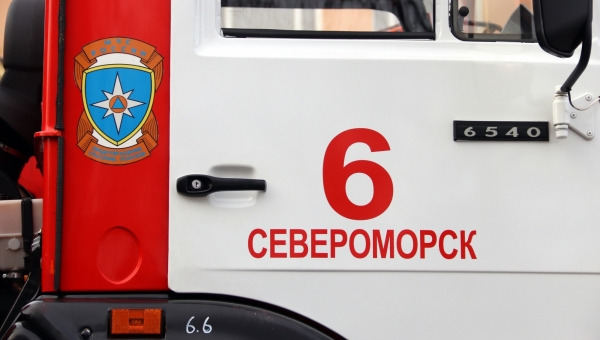 ������ ������������ �� �� ��� 48 