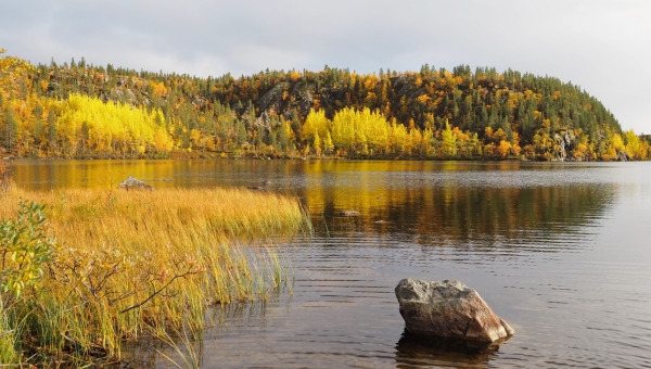 ������� ������ �� 16 ��������