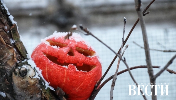 ������� ������ �� 14 ������