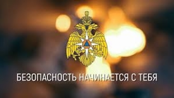 ������������ ��������