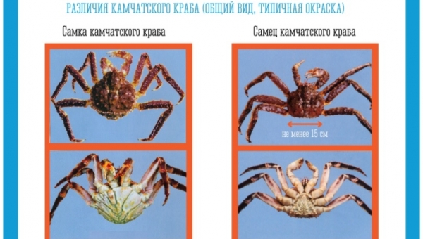 � �������� �� �����