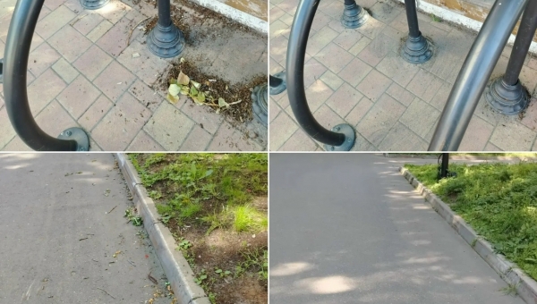 �� ���������� �������