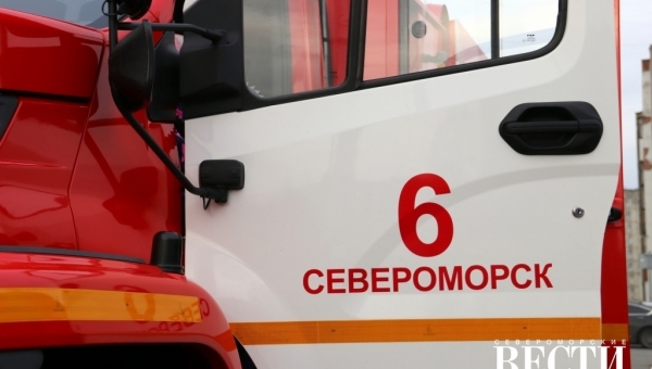 ������ ������������ �� �� ��� 48 