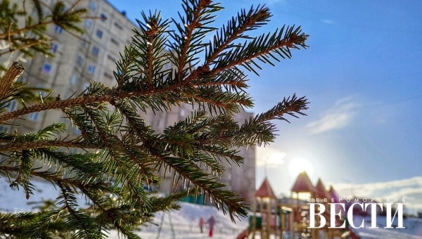 ������� ������ �� 7 �����