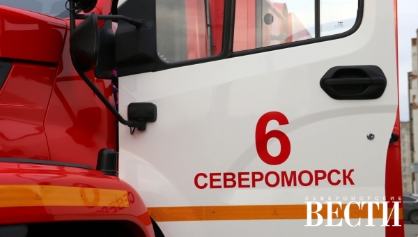 ������ ������������ �� �� ��� 48  