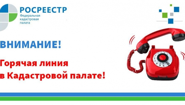 "������� �����" �� �������� ������ �����-������� ������������