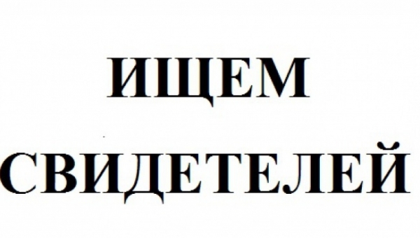 ������ ���������