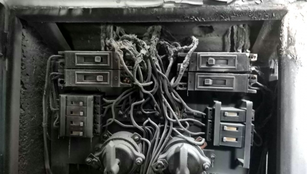 ������ �� �� ��� � 48 ��� ������